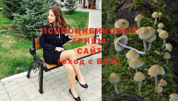 синтетический гашиш Абинск