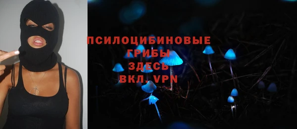 винт Алексеевка