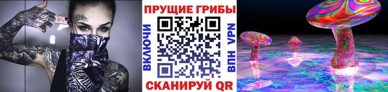 закладка  Донецк  Галлюциногенные грибы Psilocybe 