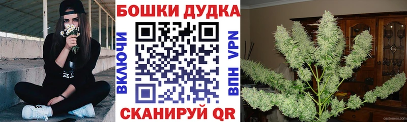 Бошки Шишки марихуана Донецк